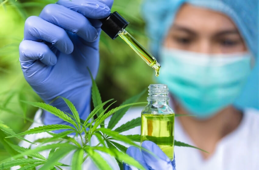 Produtos 7 cannabis medicinal abbg