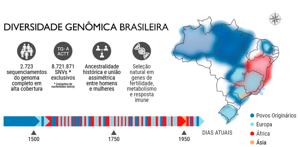 O DNA Brasileiro: O que a nossa diversidade única ensina sobre doenças e tratamentos 4 mapa dna populacao brasileira